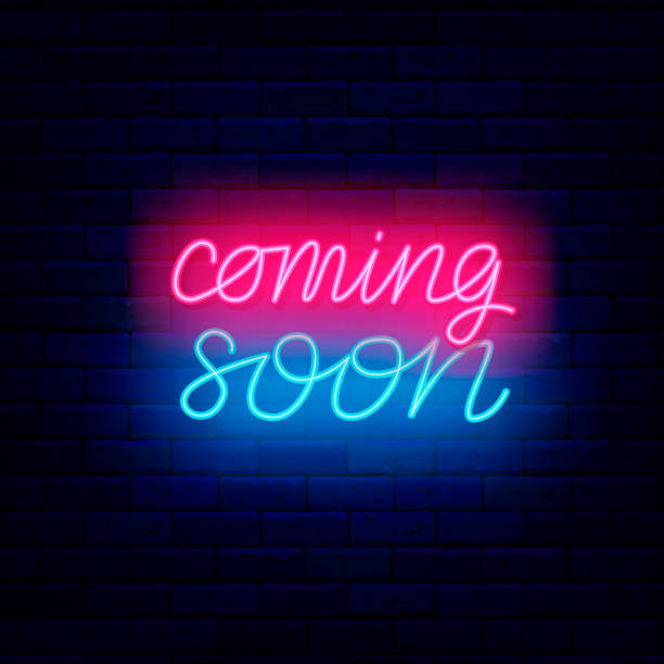 ADVENTURE GUARD Fender Liner - 2021-2025 Ford Bronco